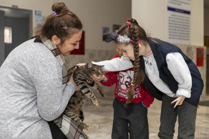 Minik Ela’ya ’kedi evi’ srprizi