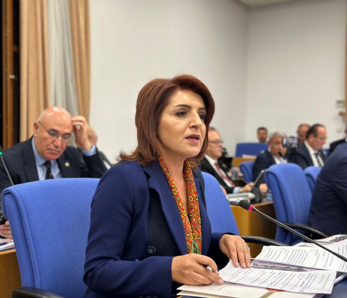 CHPli K, bakana Mersinin yarm kalan projelerini sordu