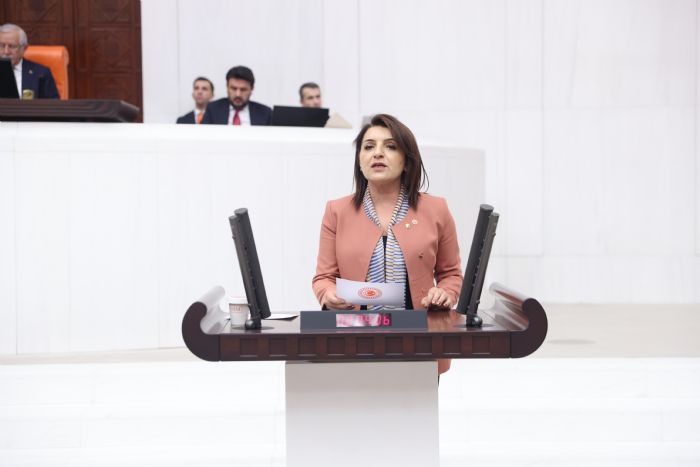 �Milli Parklar Kanunu, AKP�nin 24 y�ll�k son sat�� katalo�udur�