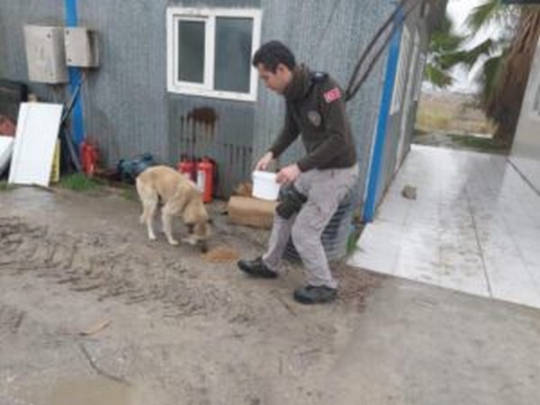 Can dostlarmza polis efkati