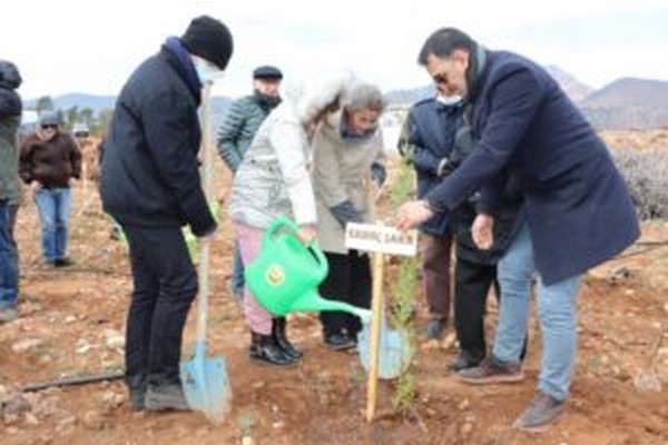 Mersin`de Covid-19 kurban salk alanlar ansna fidan dikildi