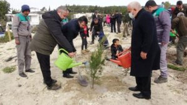 Mersin`de 35 hektar alana 45 bin fidan dikildi