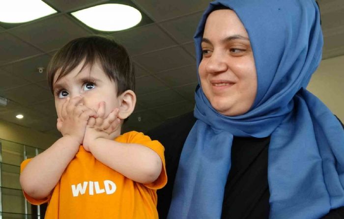 Ali bebein umudu yeerdi: 60 milyon topland