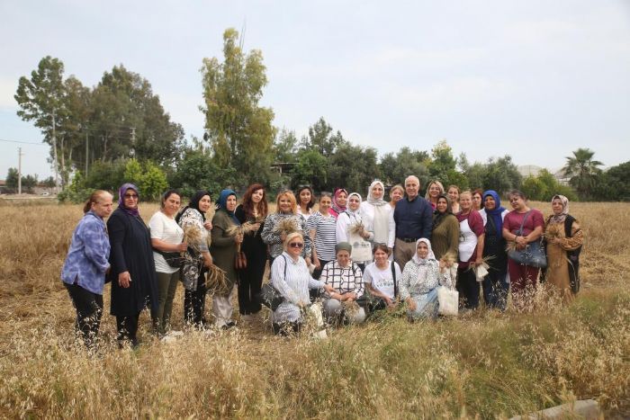 Akdeniz’de ata tohumu Karaklk buday hasad yapld