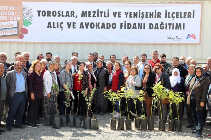 Mersin’de 105 reticiye avokado ve al fidan destei