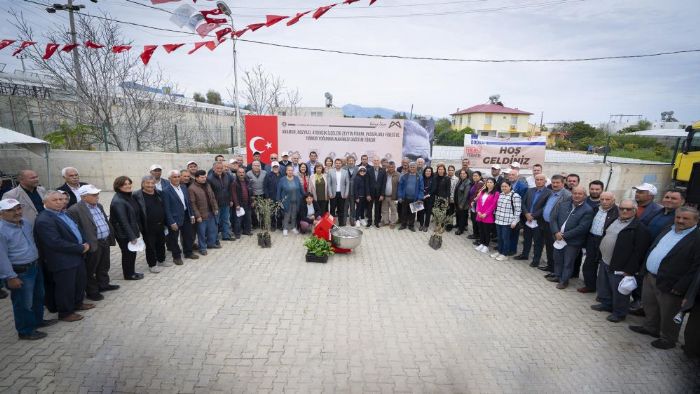 iftilere zeytin ve passiflora fidan destei