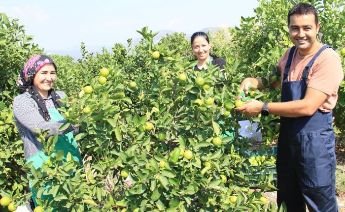 Bu limon ’yeil limon’ fiyat: 40 TL, dierleri 3 TL