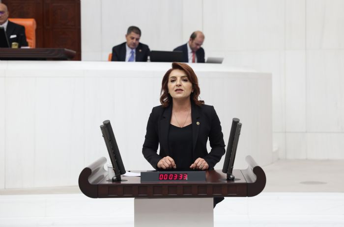 CHPli K: Mersin kamu yatrmlarnda yok saylyor