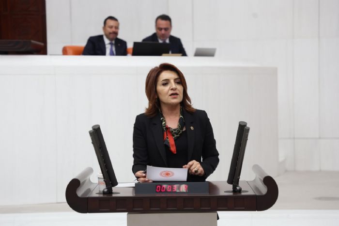 CHPli K: Parlamento Sarayn icazet makam deildir!