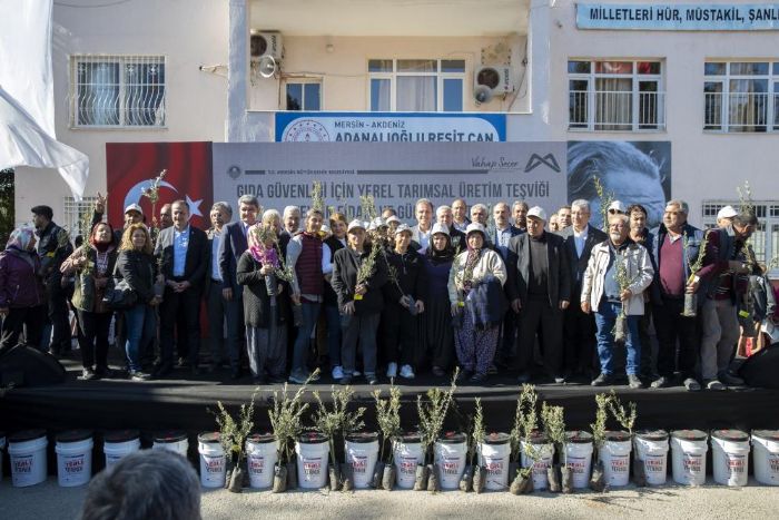 iftiye zeytin fidan ve organik sv gbre destei