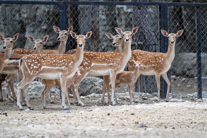 Tarsus Doa park yeni yelerine merhaba diyor
