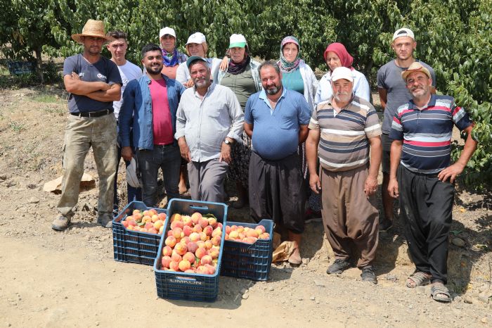 Mersinde eftali bilmecesi: Dalnda 2, markette 15.90 TL