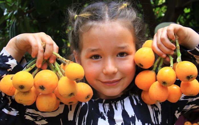 Mersinin sar altn yenidnya reticisini sevindirdi