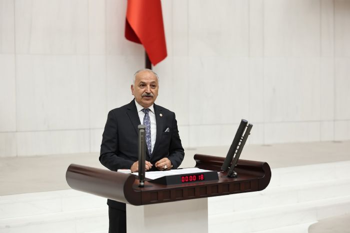 Din�er: �Maden ke�ifleri tesad�f m�, yeni yasan�n sonucu mu?�