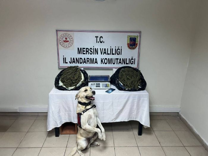 Jandarmadan uyuturucu operasyonu